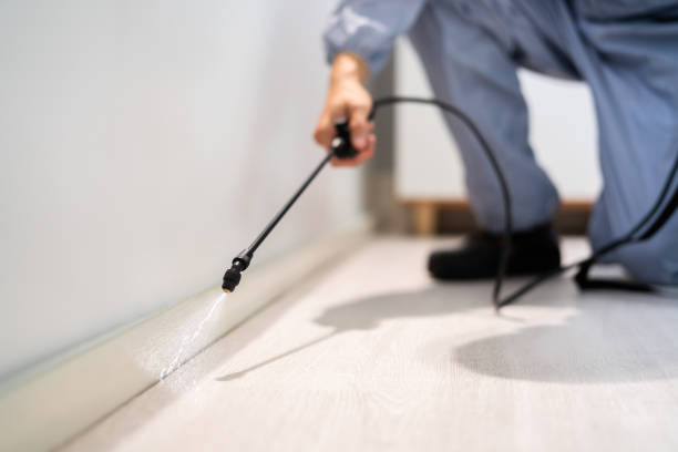 Professional exterminator conducting IPM assessment in Grand Coulee