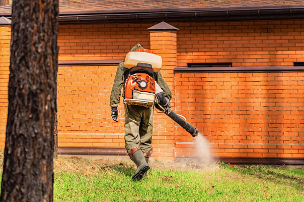 Top rated local Ant Control specialists in Grand Coulee, WA